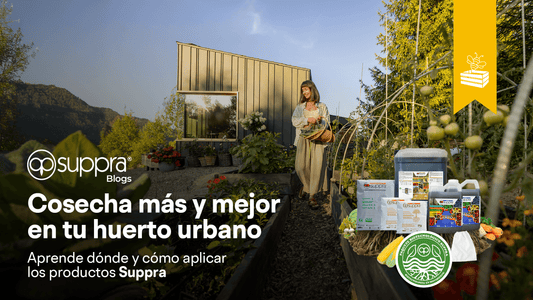 ¿Cómo y dónde aplicar productos de Suppra en huertos urbanos? 🌱🏡
