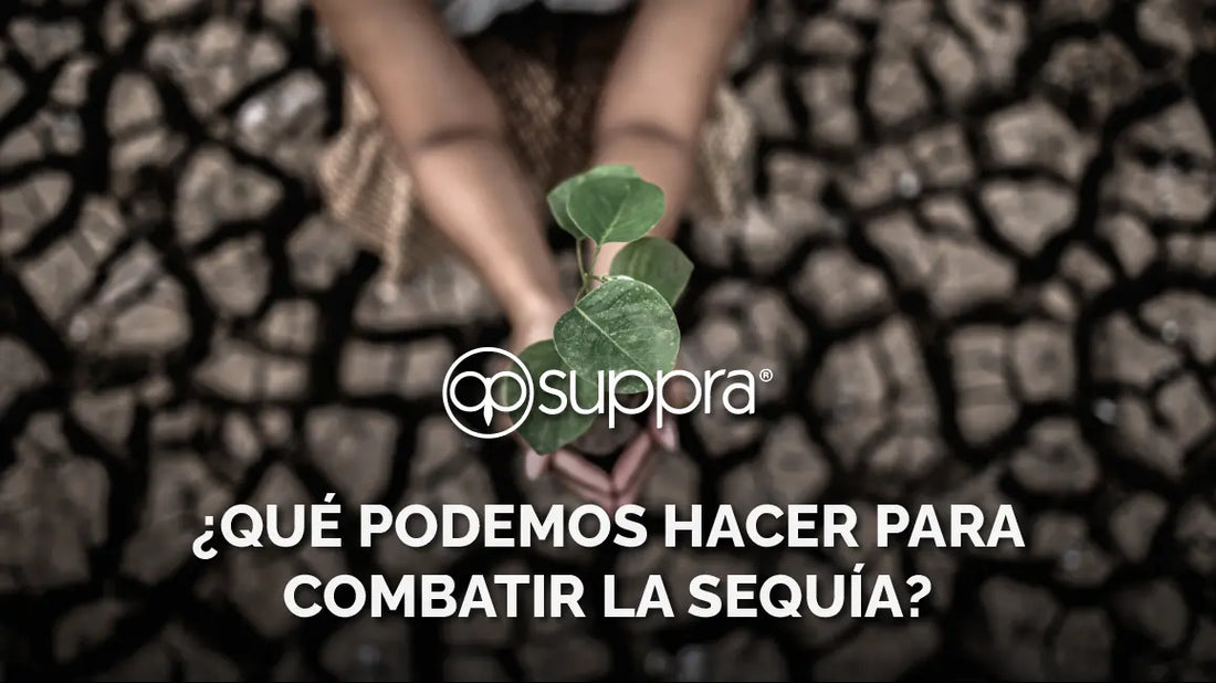 QUÉ-PODEMOS-HACER-PARA-COMBATIR-LA-SEQUÍA SUPPRA MEXICO