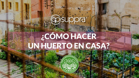 5-Tips-para-empezar-un-huerto-en-casa SUPPRA MEXICO