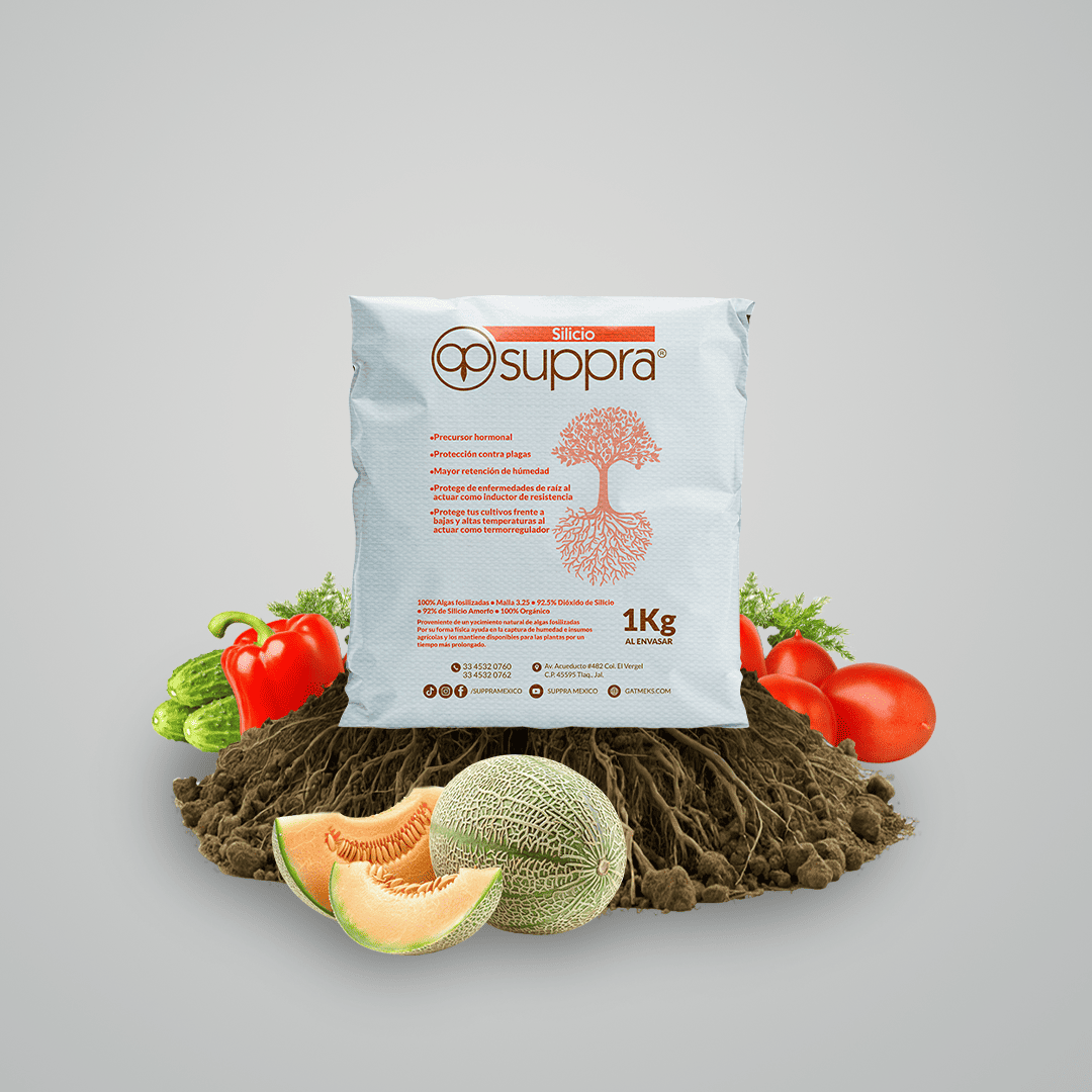 Silicio Suppra 1kg