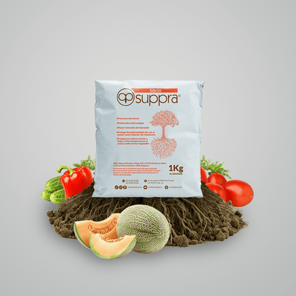 Silicio Suppra 1kg