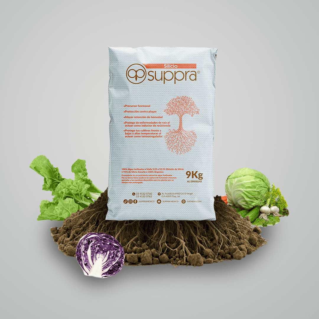 Silicio Suppra 9 kg