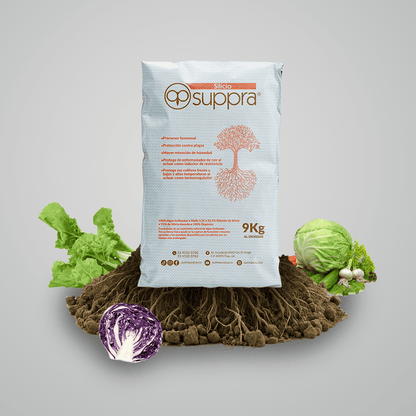 Silicio Suppra 9 kg