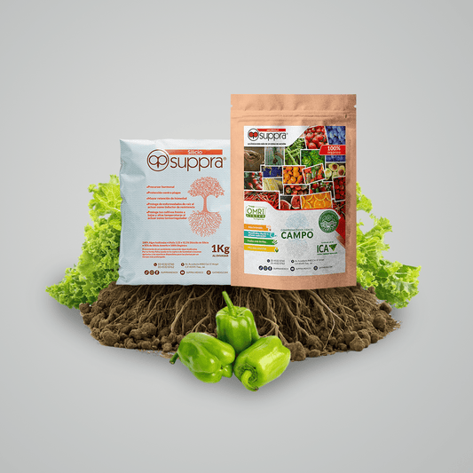 Silicio 1 kg + Micorriza Suppra 2 kg