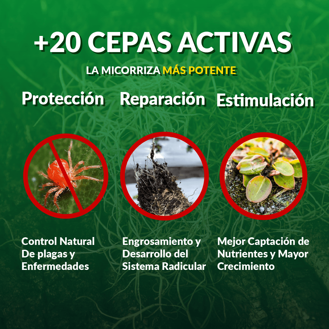 Micorrizas Suppra (10pz de 2 kg)