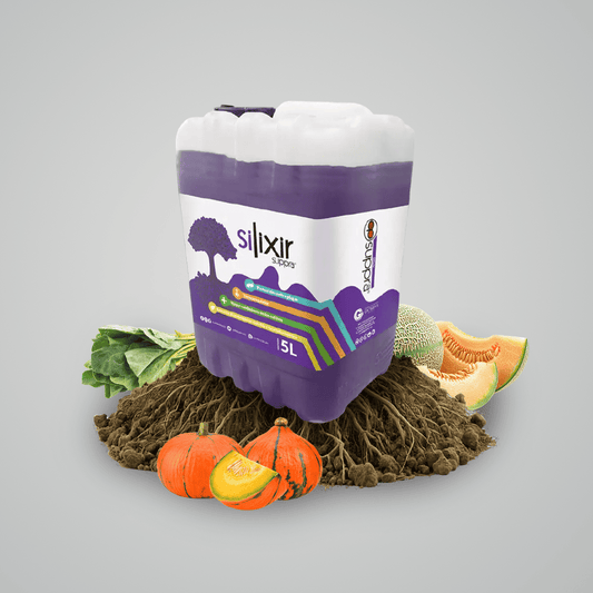 Silixir Suppra 5L
