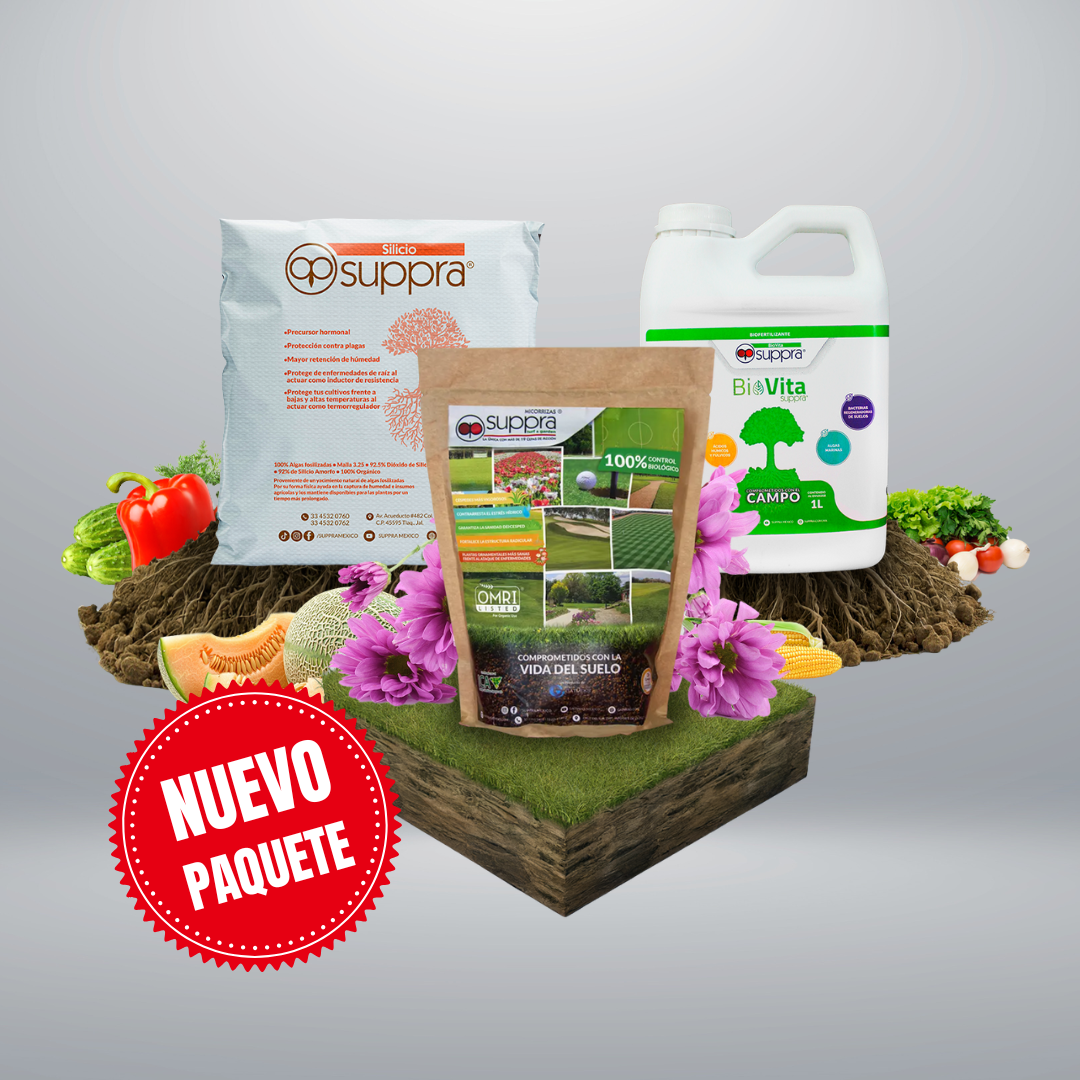 Paquete Inicia Tu Espacio Verde