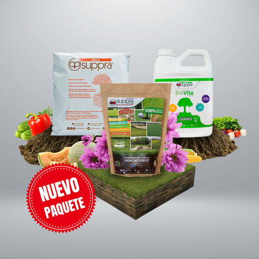 Paquete Inicia Tu Espacio Verde