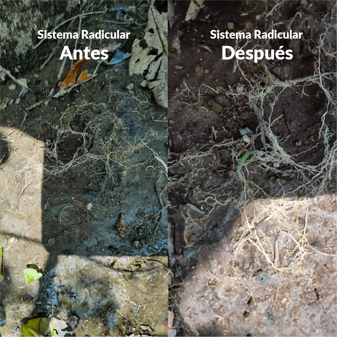 Humus Suppra Turf & Garden  1L